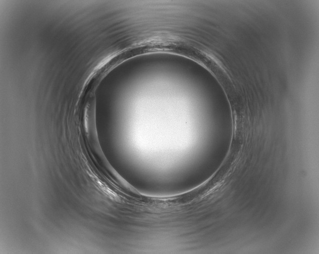 X0000059791018200510211112