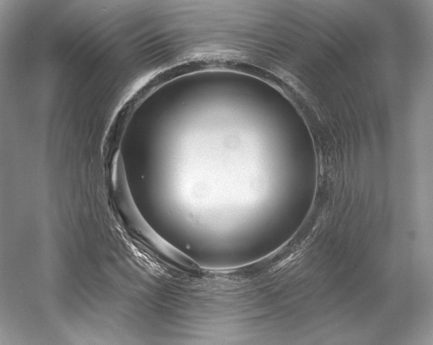 X0000059791022200510211112