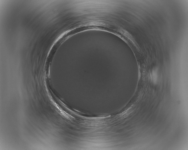 X0000059791024200510211112