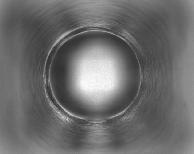 X0000059791028200510211112
