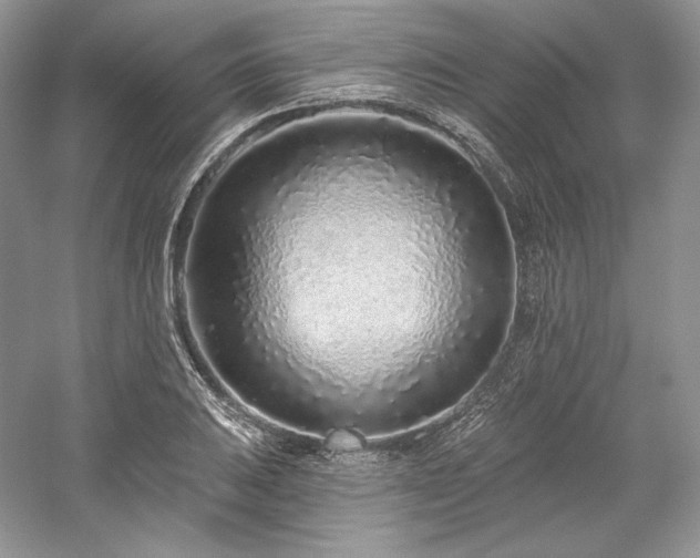 X0000059791031200510211112