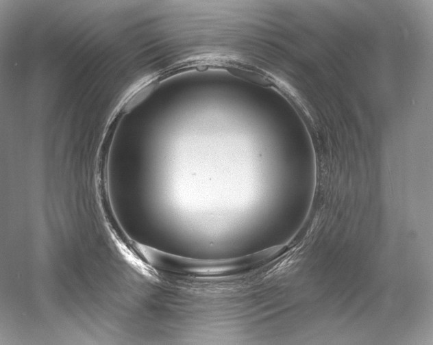 X0000059791042200510211112