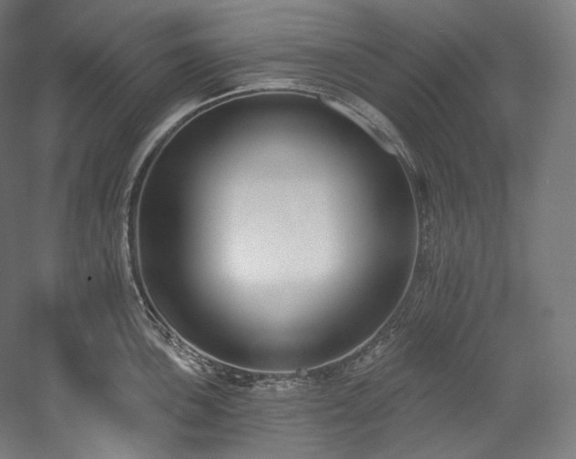 X0000059791051200510211112
