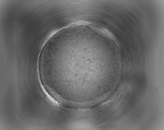 X0000059791055200510211112
