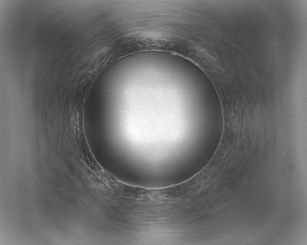 X0000059791061200510211111