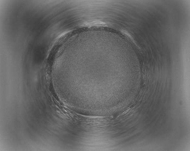 X0000059791063200510211111