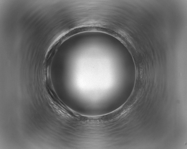 X0000059791069200510211111