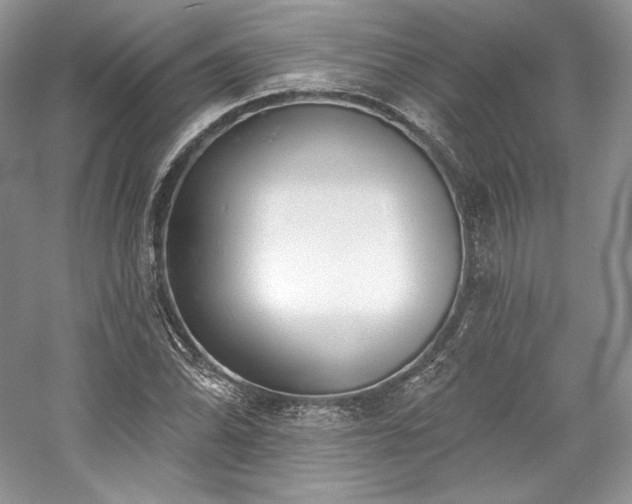 X0000059791070200510211111