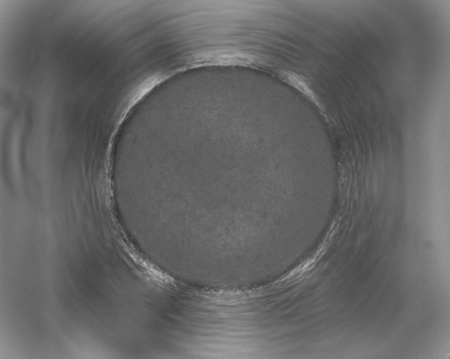 X0000059791071200510211111