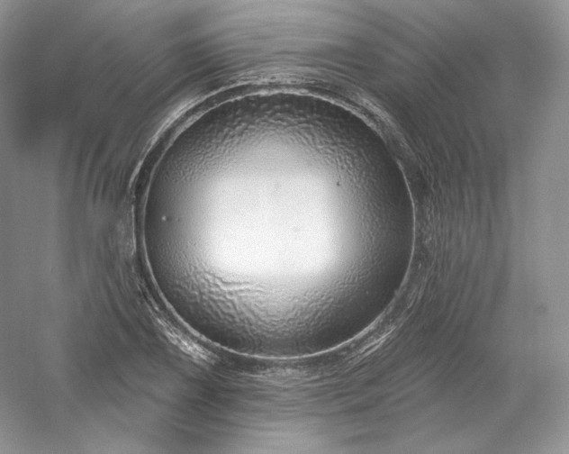 X0000059791075200510211111