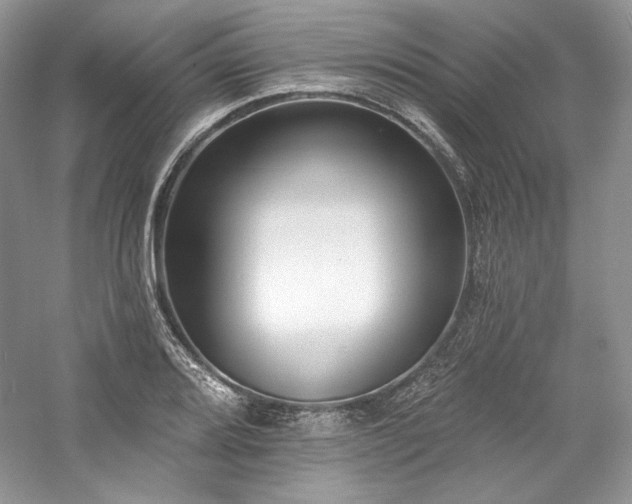 X0000059791080200510211111