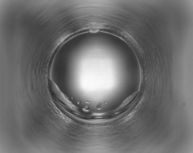 X0000059791081200510211111