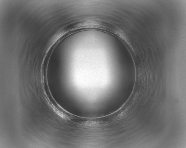 X0000059791082200510211111