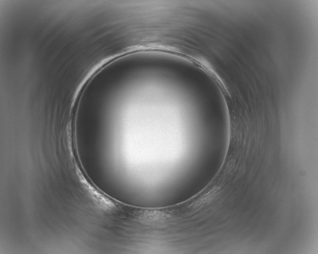 X0000059791100200510211111