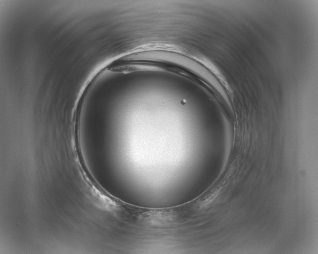 X0000059791102200510211111