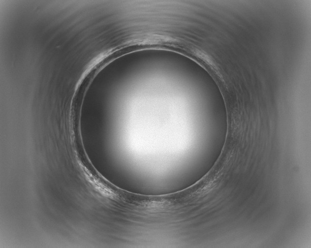 X0000059791122200510211110
