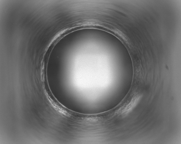 X0000059791126200510211110