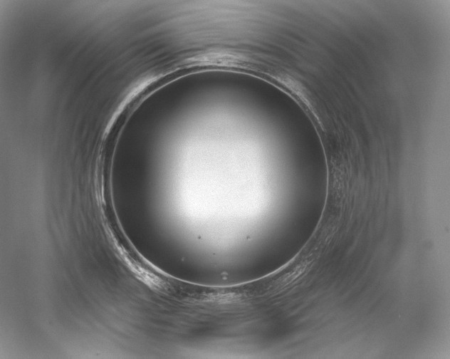 X0000059791131200510211110