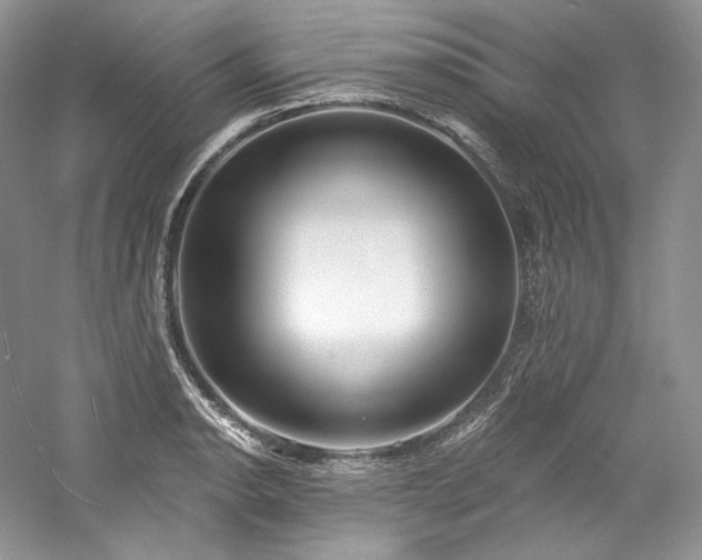 X0000059791134200510211110