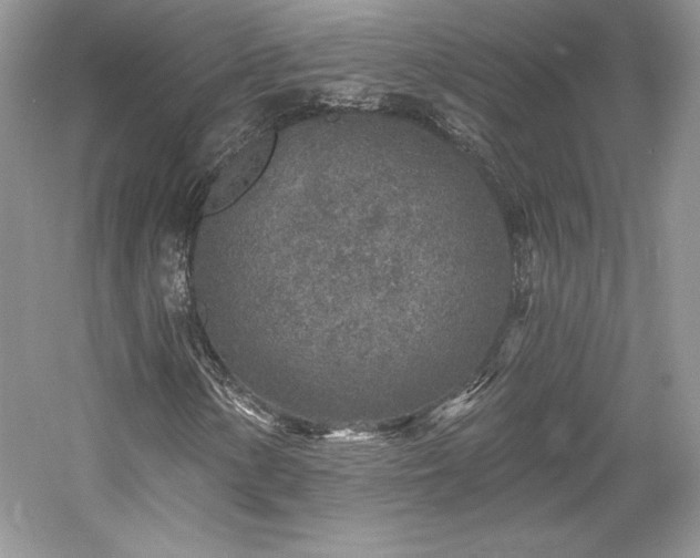 X0000059791154200510211110