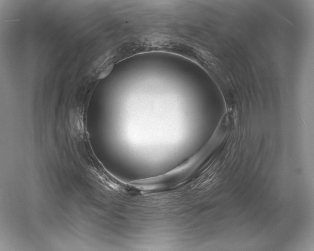 X0000059791155200510211110