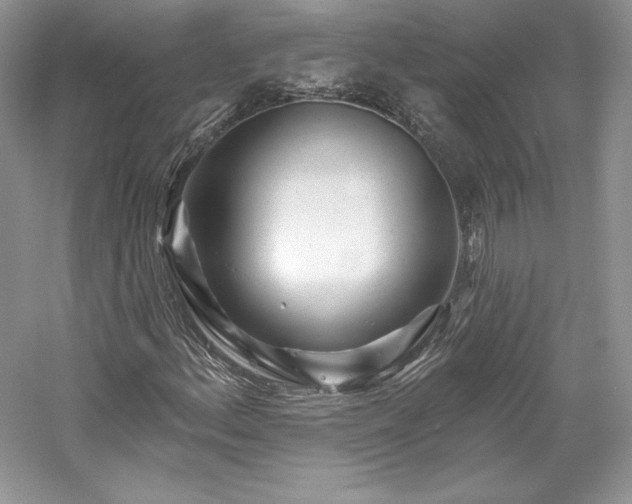 X0000059791156200510211110
