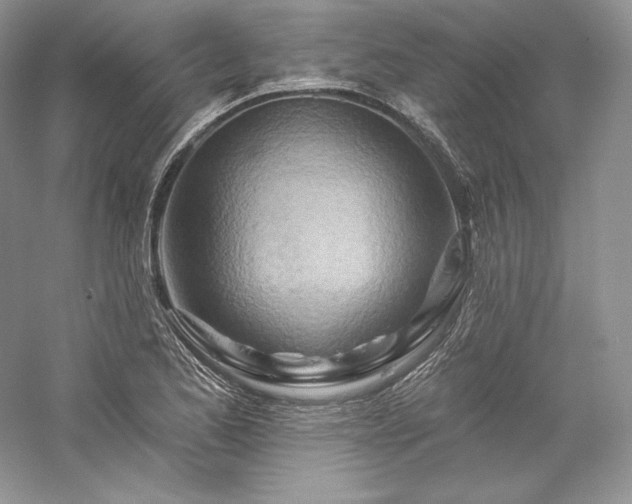 X0000059791173200510211109