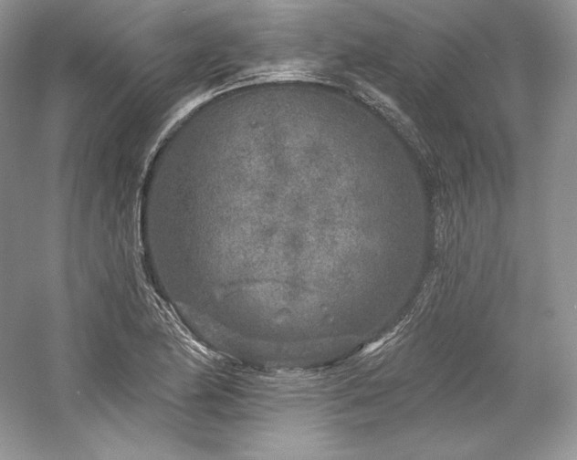 X0000059791174200510211109