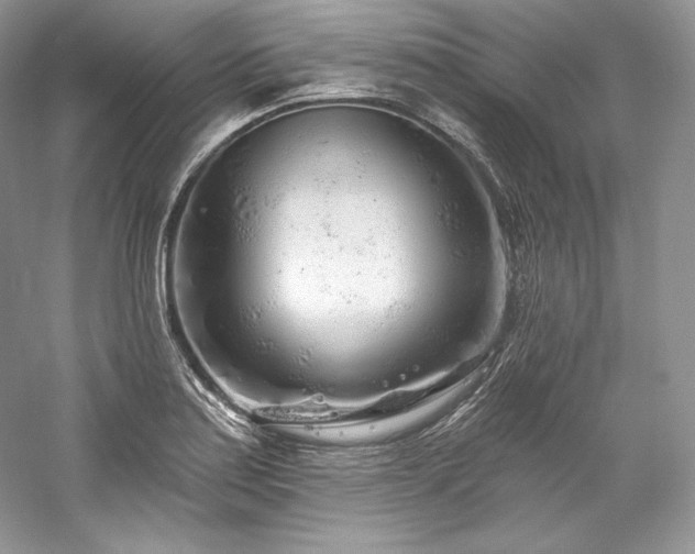 X0000059791179200510211109