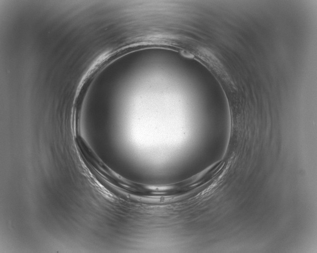 X0000059791180200510211109