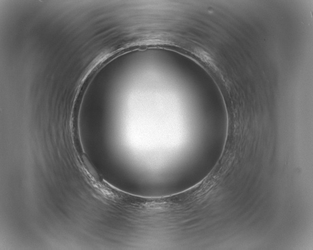 X0000059791181200510211109