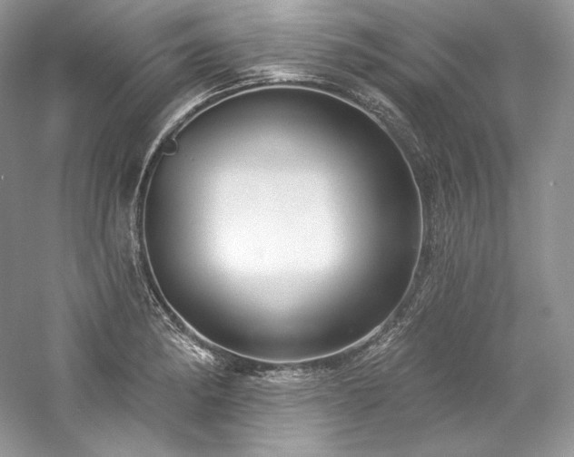 X0000059791182200510211109