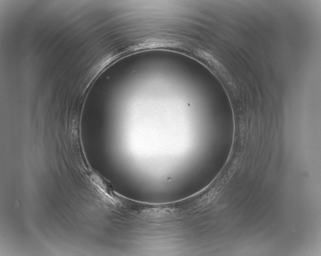 X0000059791185200510211109