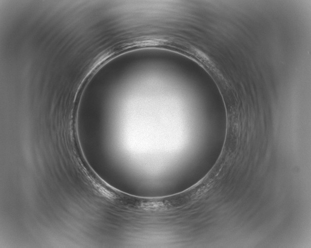 X0000059791186200510211109