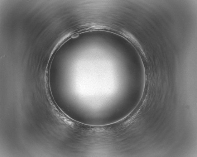 X0000059791190200510211109