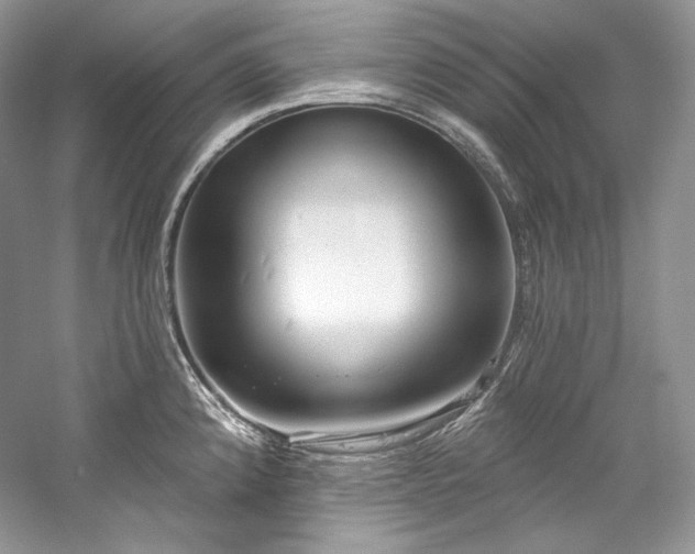 X0000059791192200510211109