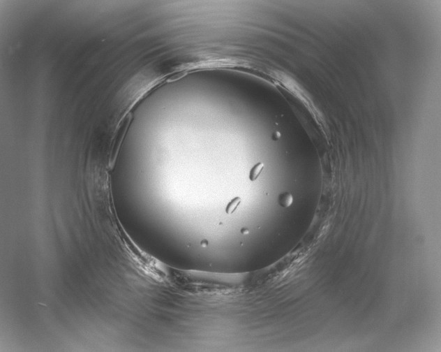 X0000059791193200510211109