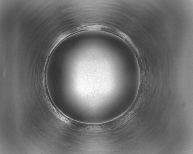X0000059791194200510211109