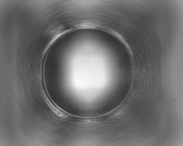 X0000059791195200510211109