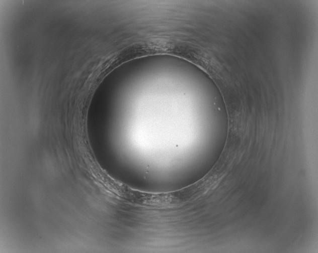 X0000059791201200510211108