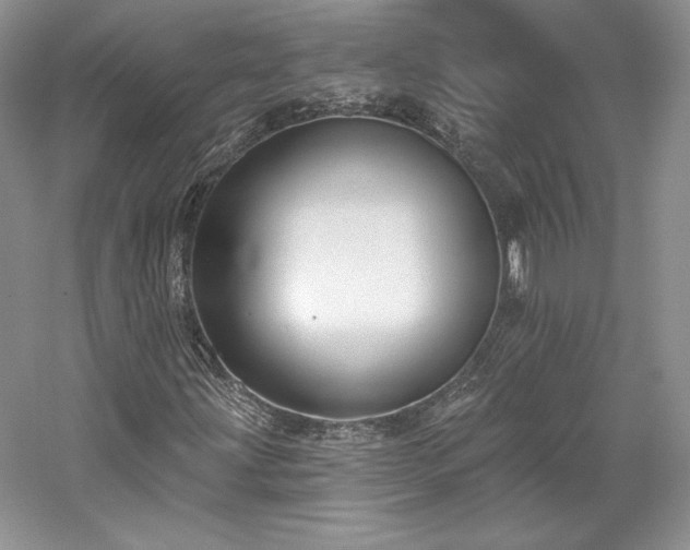 X0000059791203200510211108