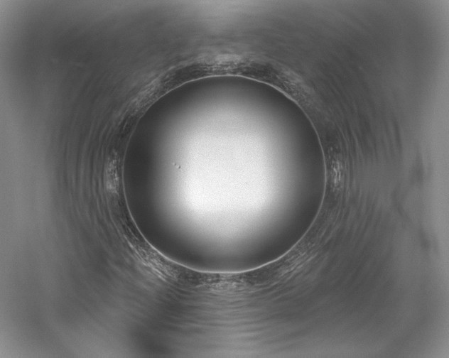 X0000059791204200510211108