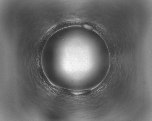 X0000059791205200510211108