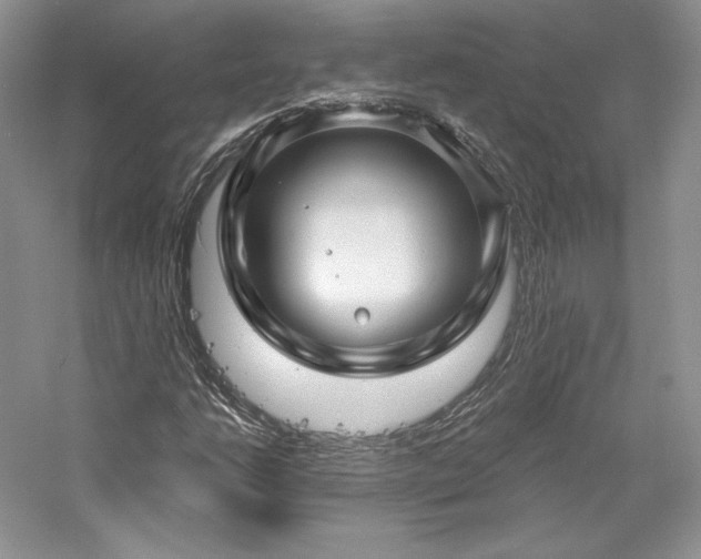 X0000059791206200510211108