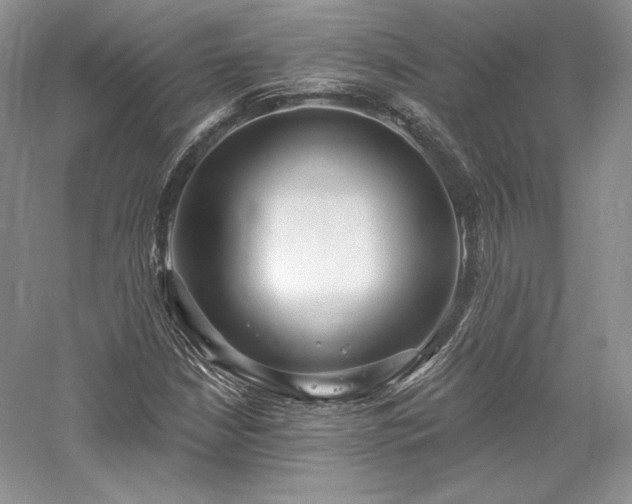 X0000059791210200510211108