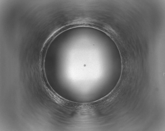 X0000059791216200510211108