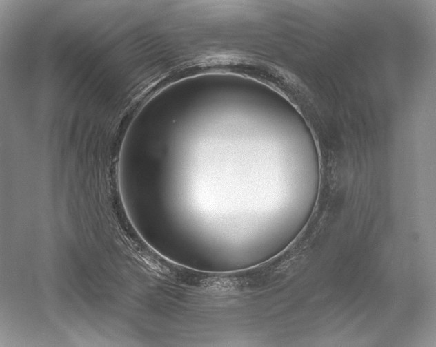 X0000059791217200510211108
