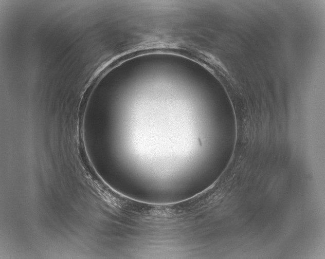 X0000059791220200510211108