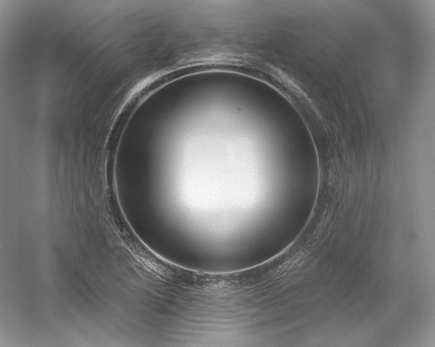 X0000059791222200510211108