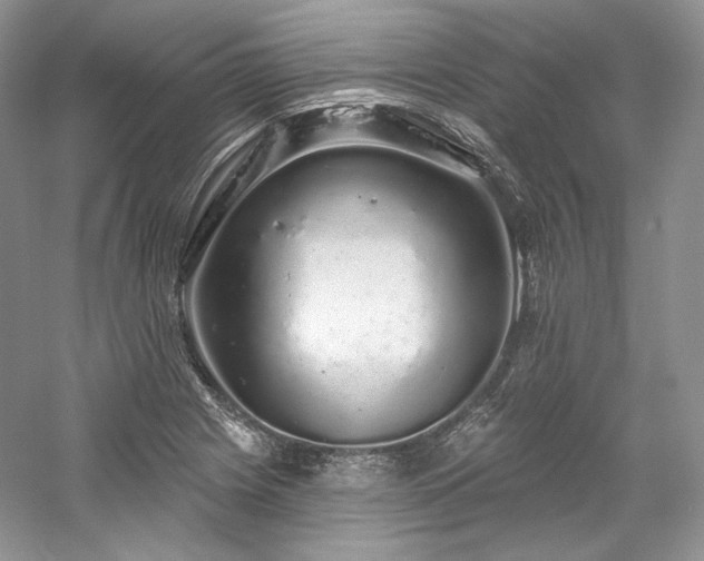X0000059791225200510211108